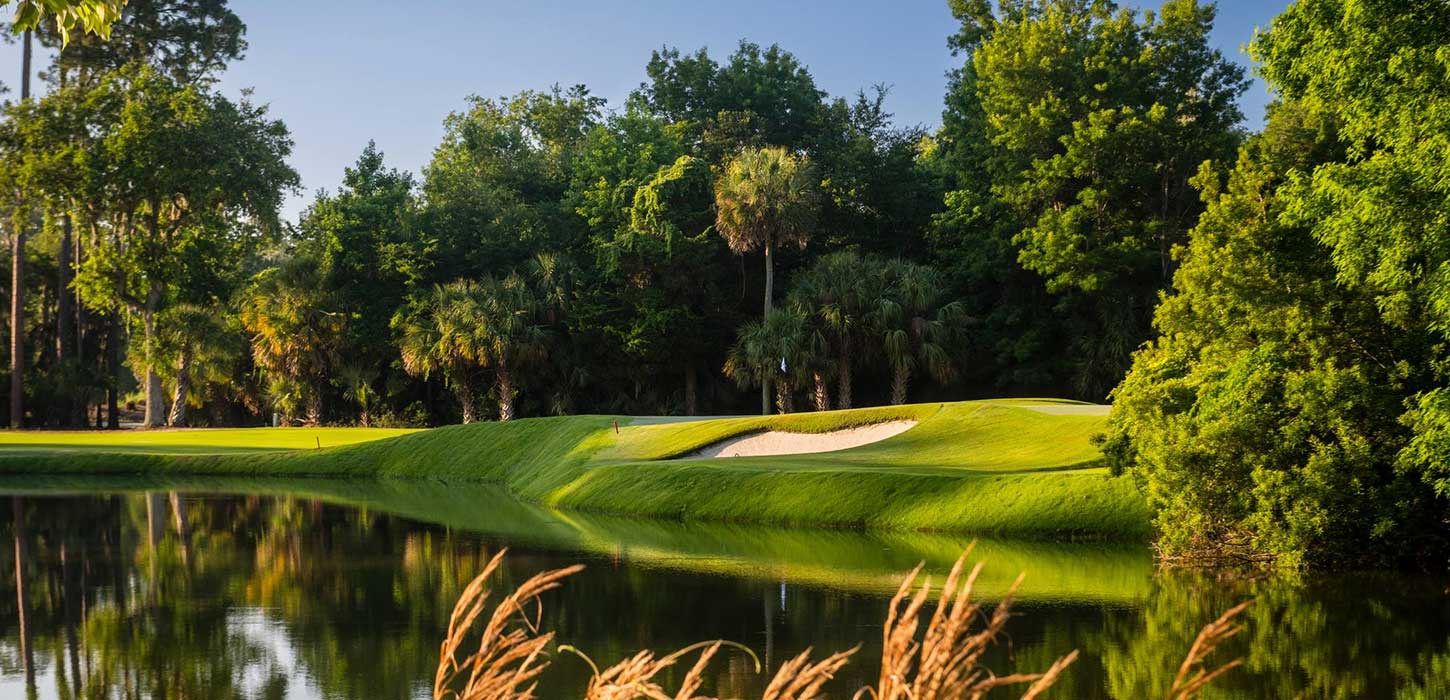 Palms by the Green Slide background